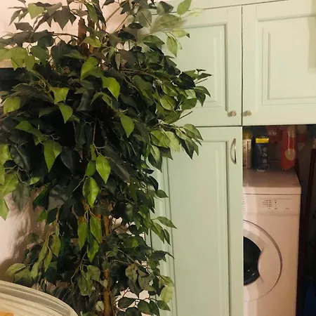 Charme Holidays Trastevere Rom