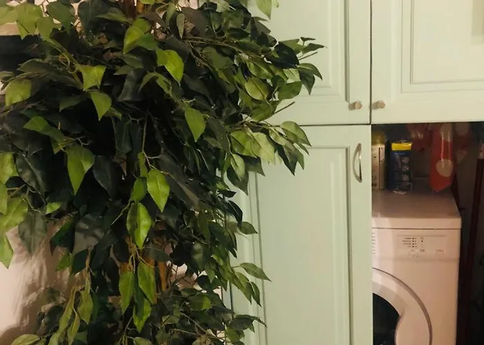 Charme Holidays Trastevere Roma